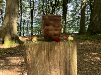 ein Bild aus dem Album